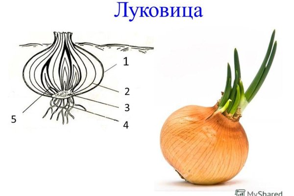 Сайт кракен фейк kraken ssylka onion com